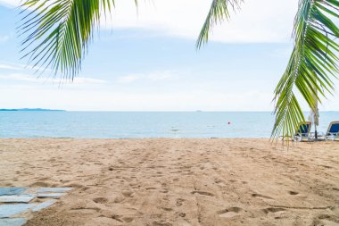 Pattaya Tayland'da palmiye ve tropikal plaj