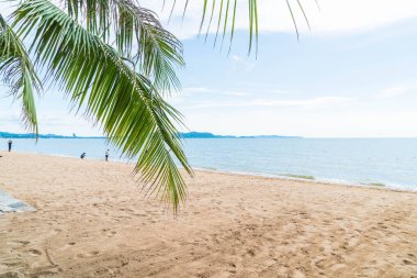 Pattaya Tayland'da palmiye ve tropikal plaj