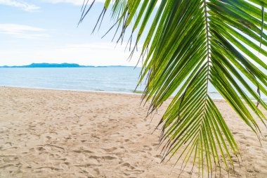 Pattaya Tayland'da palmiye ve tropikal plaj