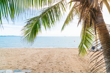 Pattaya Tayland'da palmiye ve tropikal plaj