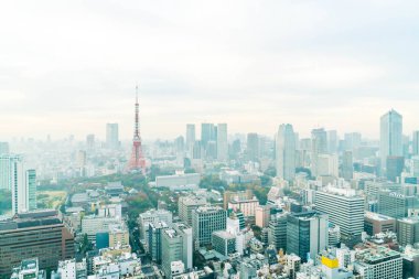 Tokyo şehir manzarası alacakaranlıkta