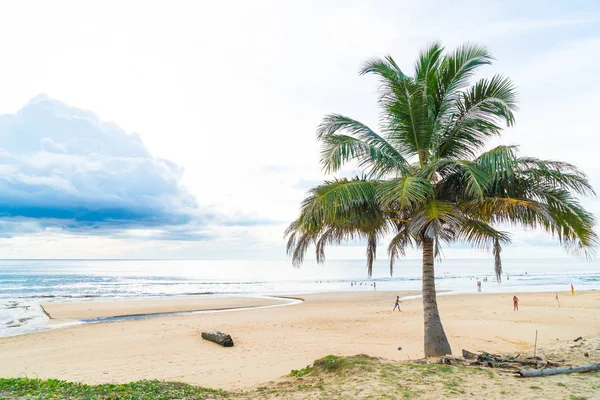 Hindistan cevizi ağacı ile tropikal plaj
