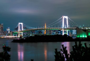 Tokyo siluetinin Tokyo kule ve Gökkuşağı Köprüsü ile. 