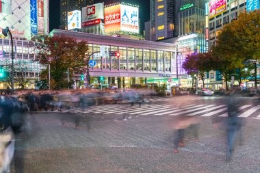 Tokyo, Japonya, 17 Kasım 2016: Shibuya Crossing, şehir sokak ile