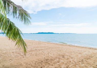 Pattaya Tayland'da palmiye ve tropikal plaj