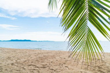Pattaya Tayland'da palmiye ve tropikal plaj