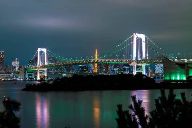 Tokyo siluetinin Tokyo kule ve Gökkuşağı Köprüsü ile. 