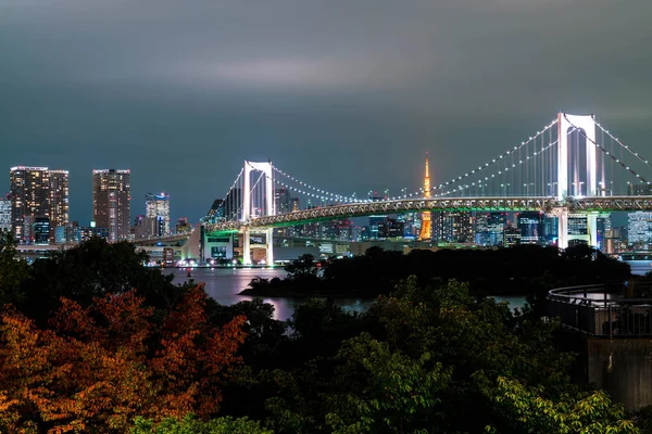 東京タワーとレインボー ブリッジと東京のスカイライン. — ストック写真