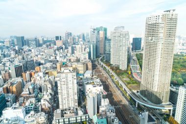 Tokyo şehir manzarası alacakaranlıkta