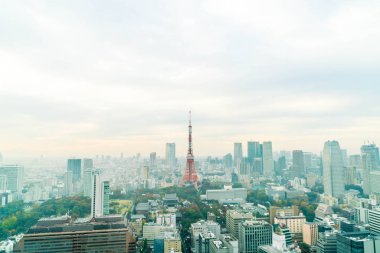 Tokyo şehir manzarası alacakaranlıkta