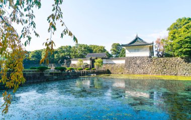 Tokyo'da bina güzel İmparatorluk Sarayı