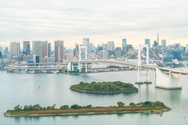 Tokyo siluetinin Tokyo kule ve Gökkuşağı Köprüsü ile. 