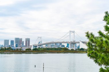 Tokyo siluetinin Tokyo kule ve Gökkuşağı Köprüsü ile. 