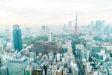Tokyo şehir manzarası alacakaranlıkta