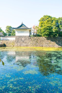 Tokyo'da bina güzel İmparatorluk Sarayı