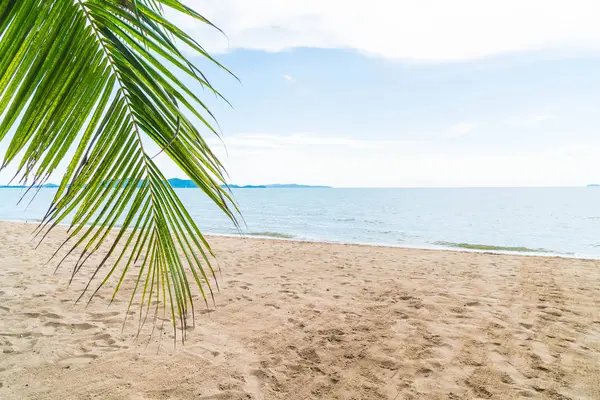 Pattaya Tayland'da palmiye ve tropikal plaj