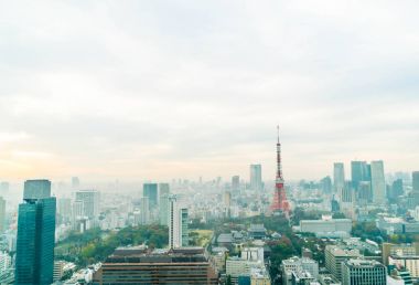 Tokyo şehir manzarası alacakaranlıkta