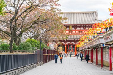 Toyko, Japonya - 16 Kasım 2016: turist Nakamise Dori üzerinde yürümek 