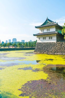 Tokyo'da bina güzel İmparatorluk Sarayı