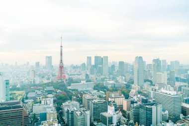 Tokyo şehir manzarası alacakaranlıkta