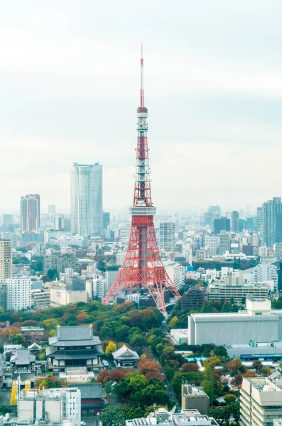 Panoramę miasta Tokio o zmierzchu — Zdjęcie stockowe