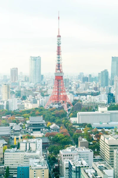 Panoramę miasta Tokio o zmierzchu — Zdjęcie stockowe