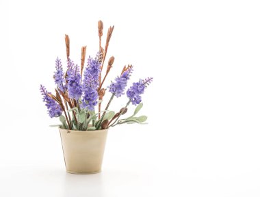 Cam vazo içinde sunulan Statice ve caspia çiçek