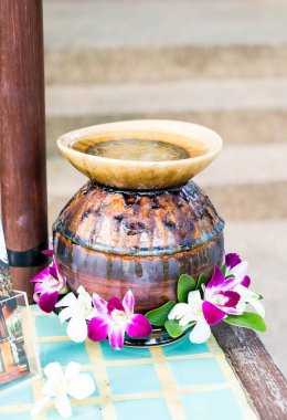 spa ve aromaterapi için çiçekler