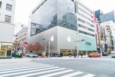 Tokyo, Japonya - 16 Kasım 2016: Tokyo Ginza Dis, Cityscape