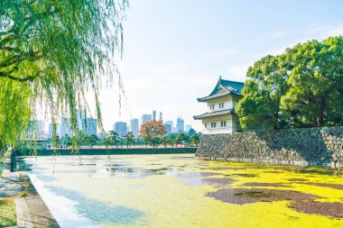 Tokyo'da bina güzel İmparatorluk Sarayı