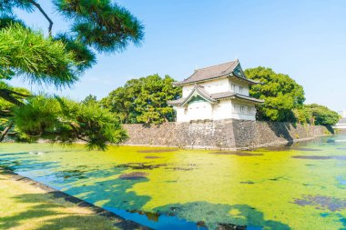 Tokyo'da bina güzel İmparatorluk Sarayı