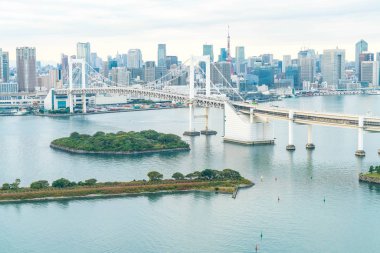 Tokyo siluetinin Tokyo kule ve Gökkuşağı Köprüsü ile. 