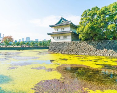 Tokyo'da bina güzel İmparatorluk Sarayı