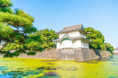 Tokyo'da bina güzel İmparatorluk Sarayı