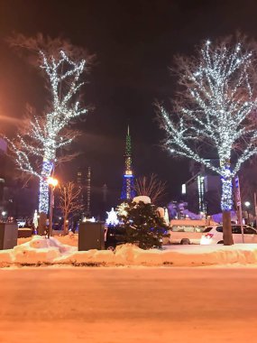Sapporo, Japonya - 17 Aralık 2016: Noel kutlaması Odori Parkı'nda