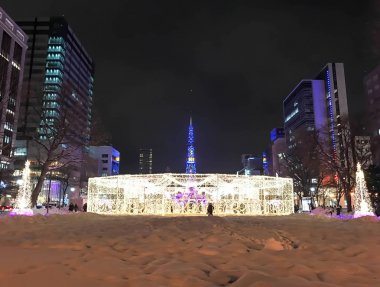 Sapporo, Japonya - 17 Aralık 2016: Noel kutlaması Odori Parkı'nda