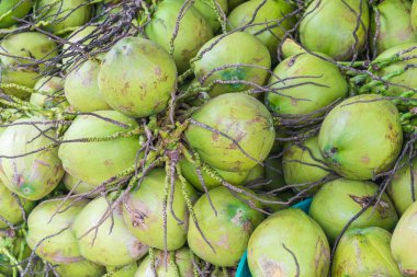 arka plan için taze hindistancevizi