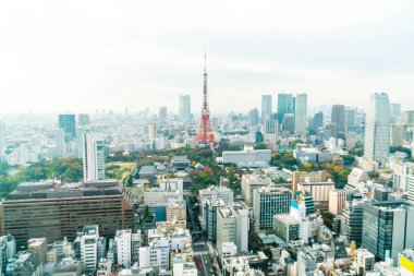 Tokyo şehir manzarası alacakaranlıkta