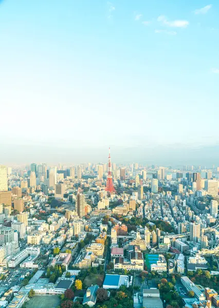 Tokyo city skyline with Tokyo Tower — Stock Photo, Image