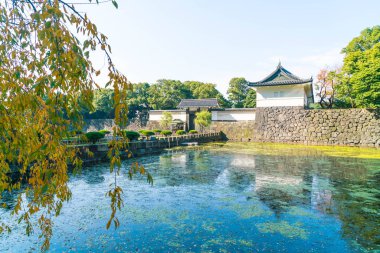 Tokyo'da bina güzel İmparatorluk Sarayı