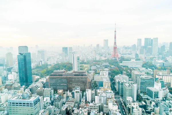 Ciudad de Tokio skyline al atardecer — Foto de Stock