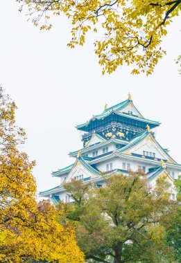 Osaka Kalesi, güzel mimari 