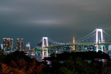Tokyo siluetinin Tokyo kule ve Gökkuşağı Köprüsü ile. 