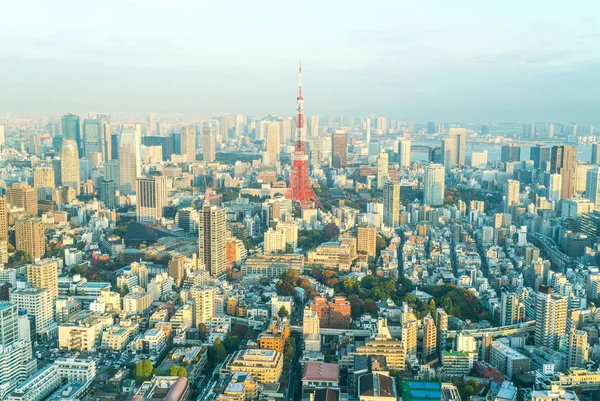 Tokyo city skyline with Tokyo Tower — Stock Photo, Image