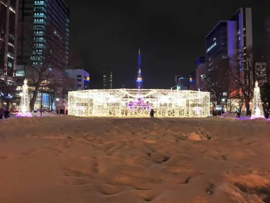Sapporo, Japonya - 17 Aralık 2016: Noel kutlaması Odori Parkı'nda