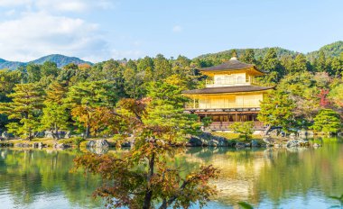Kinkakuji Tapınağı (altın köşk güzel mimari)