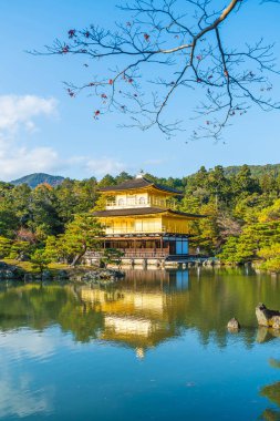 Kinkakuji Tapınağı (altın köşk güzel mimari)