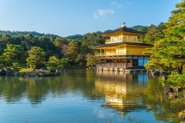 Kinkakuji Tapınağı (altın köşk güzel mimari)