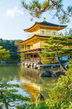 Kinkakuji Tapınağı (altın köşk güzel mimari)