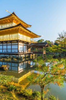 Kinkakuji Tapınağı (altın köşk güzel mimari)